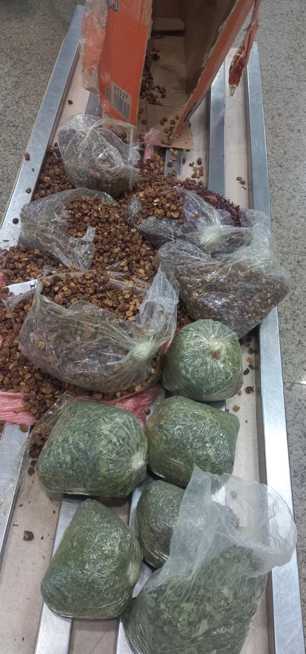 &nbsp;مخدر القات &nbsp;