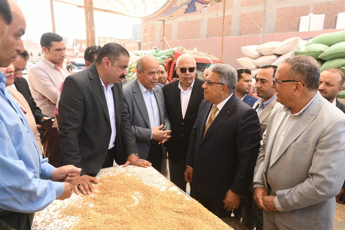 محافظ الدقهلية يتابع توريد القمح بصوامع ميت غمر