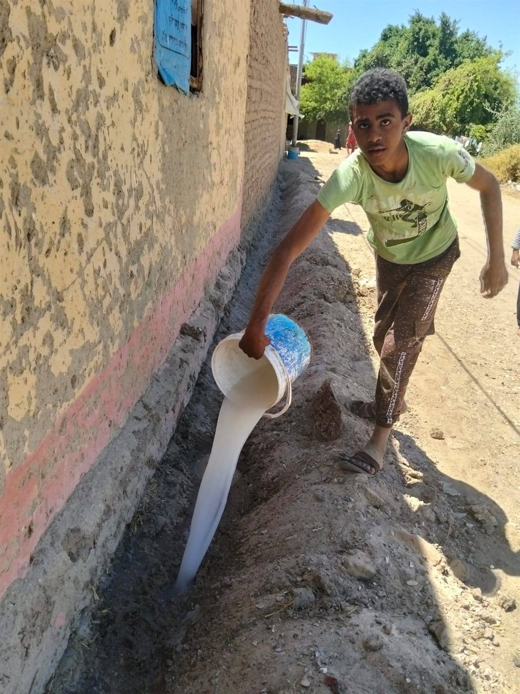 زراعة الأقصر&nbsp;