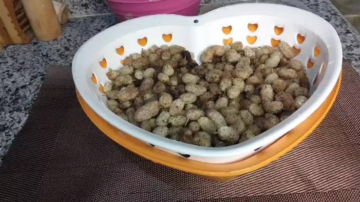 طريقة عمل مربى التوت الأبيض