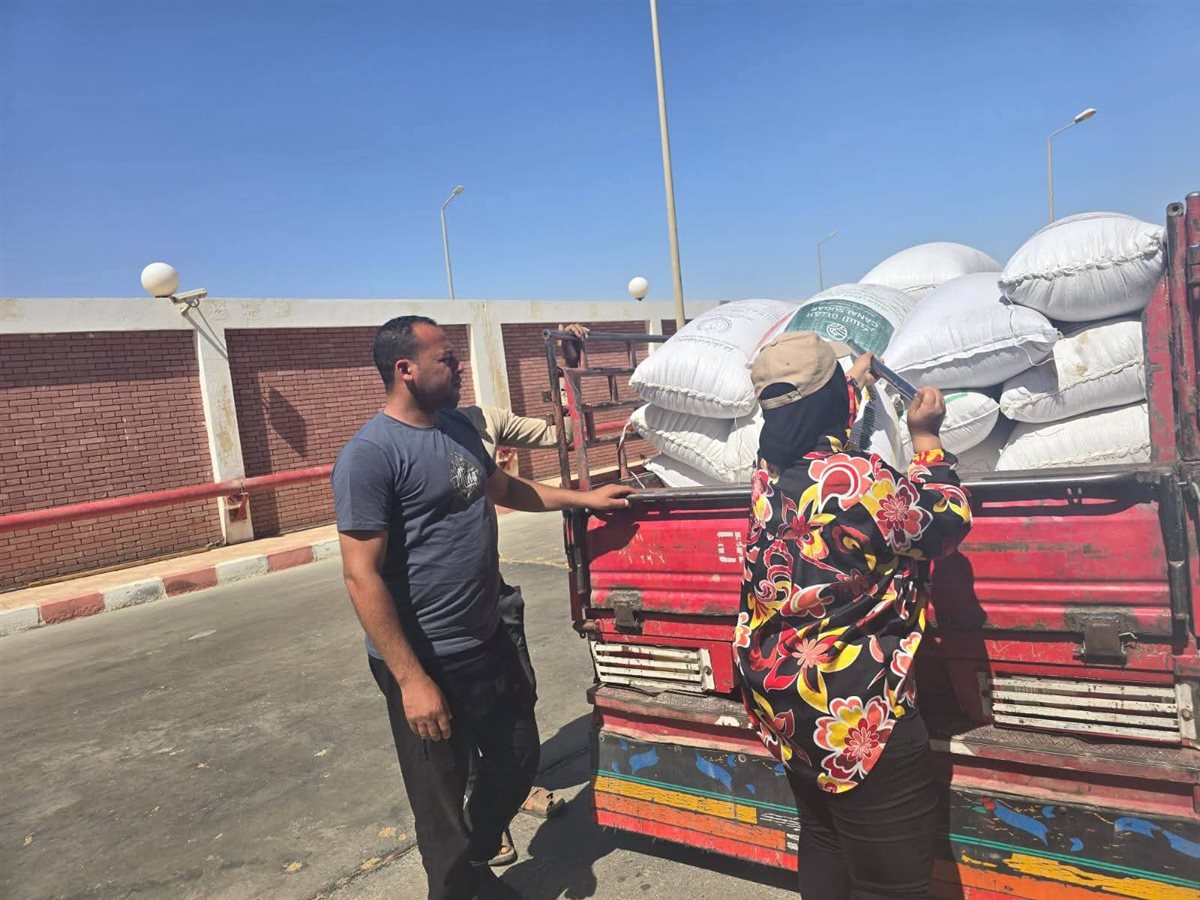 توريد القمح بالوادى الجديد