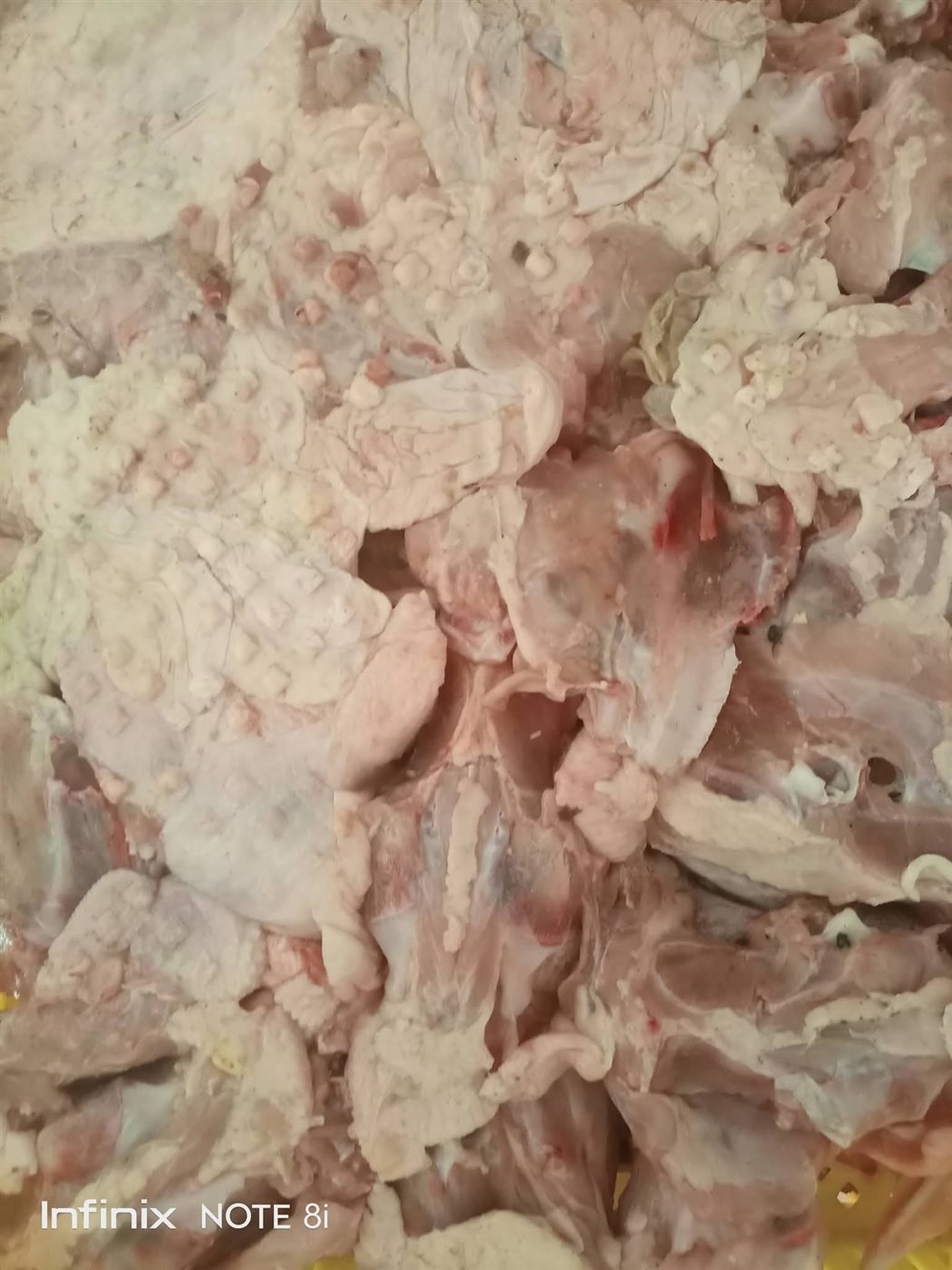 جانب من المضبوطات&nbsp;