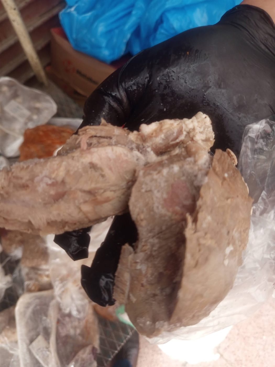 ضبط لحوم فاسدة بأحد مطاعم الأقصر