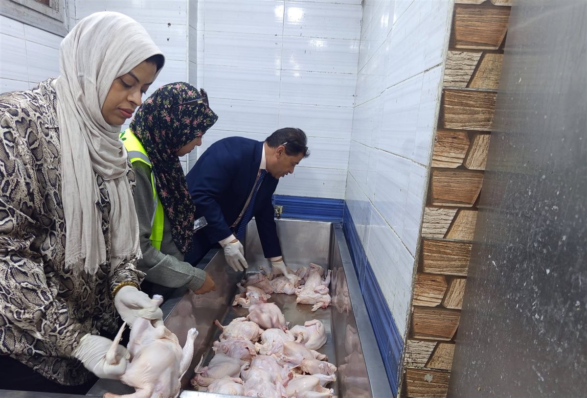ضبط لحوم فاسدة بأحد مطاعم الأقصر