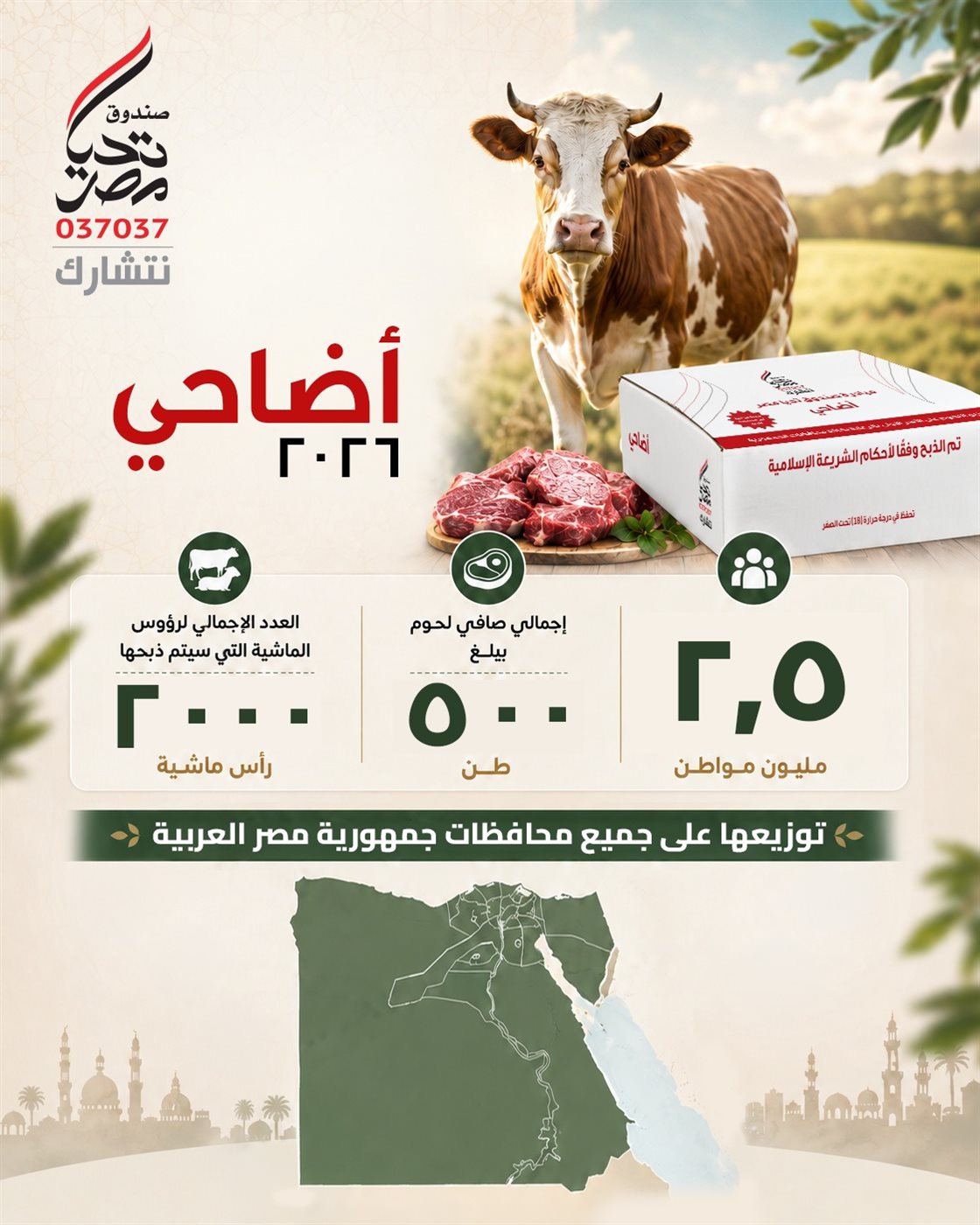 <strong>صندوق تحيا مصر يطلق مبادرة أضاحي للعام الثالث&nbsp;</strong>