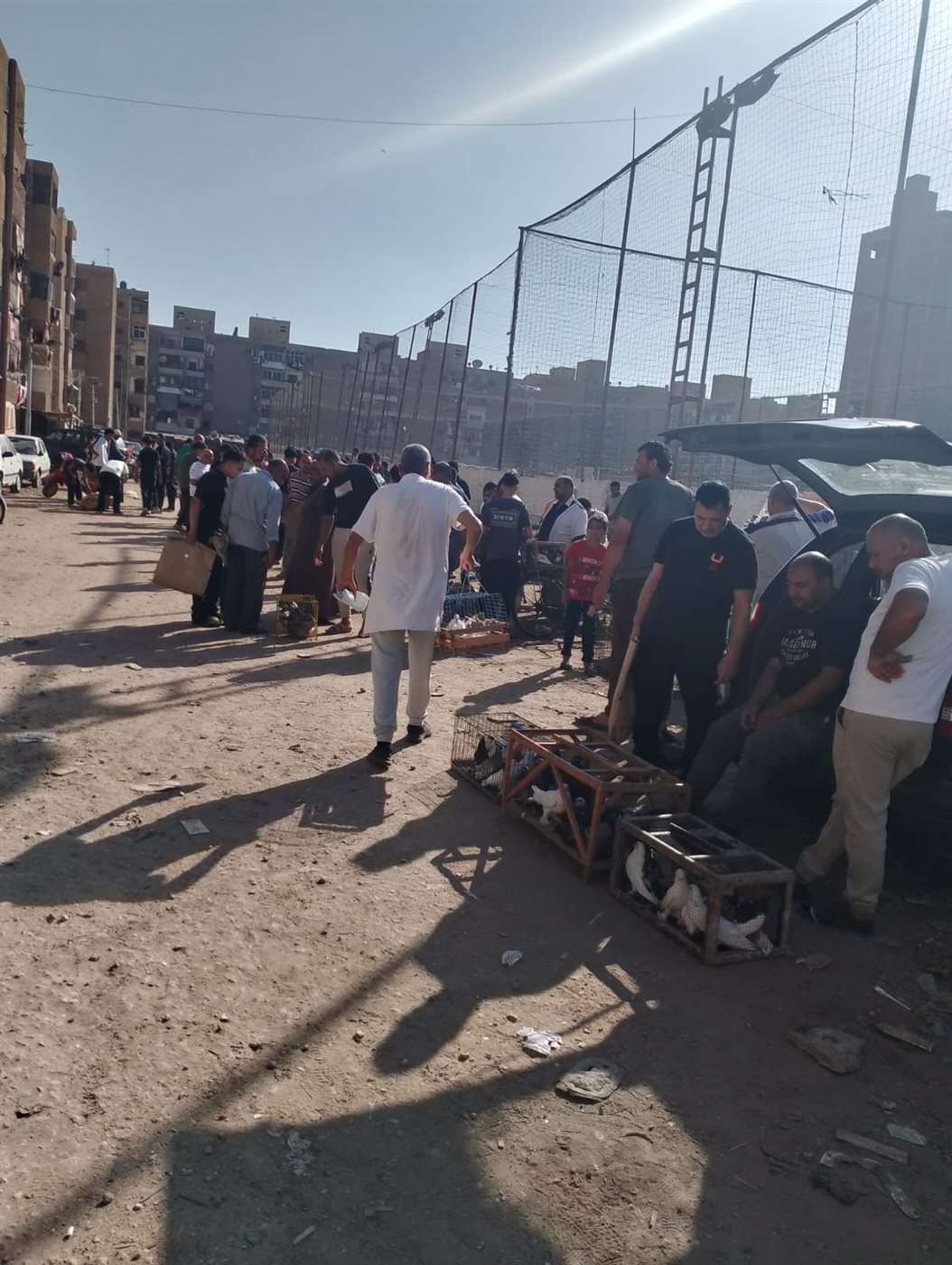 سوق الحمام بالمنصورة