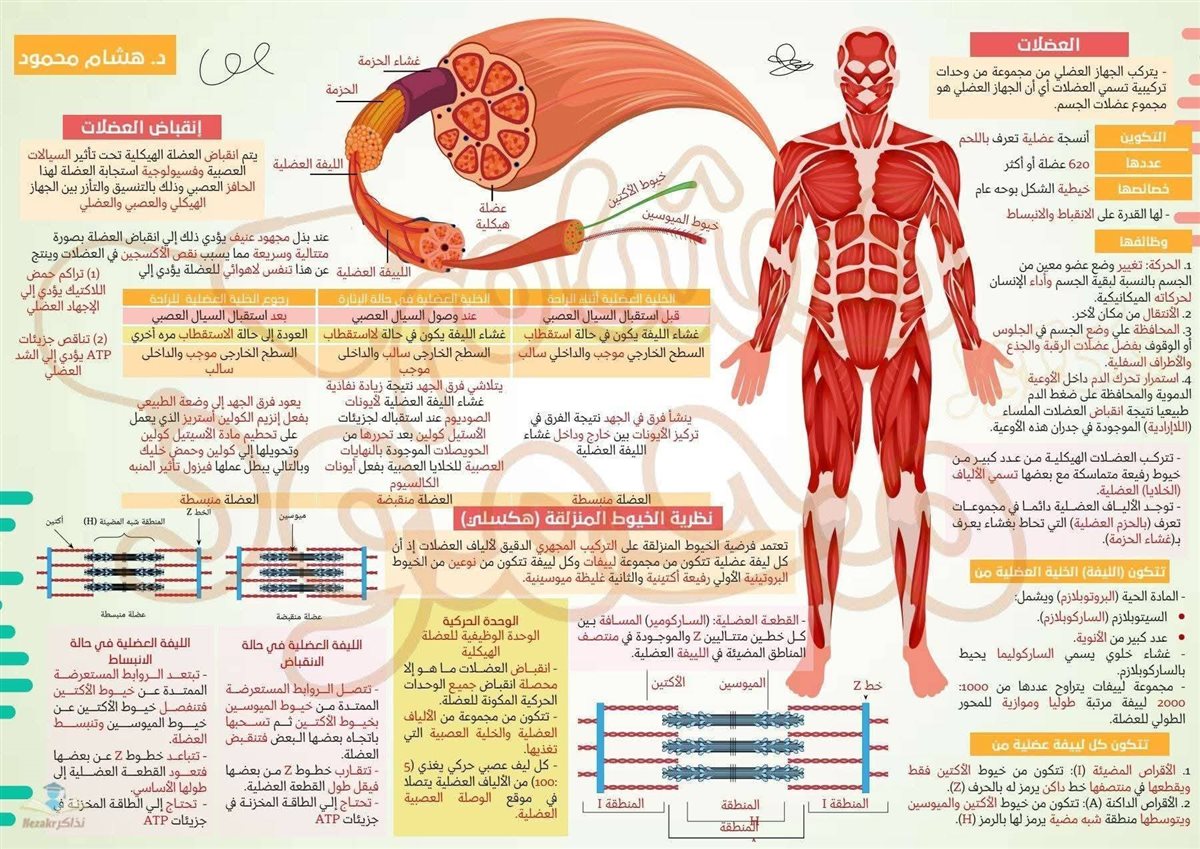 مراجعة الأحياء تالتة ثانوي 2026