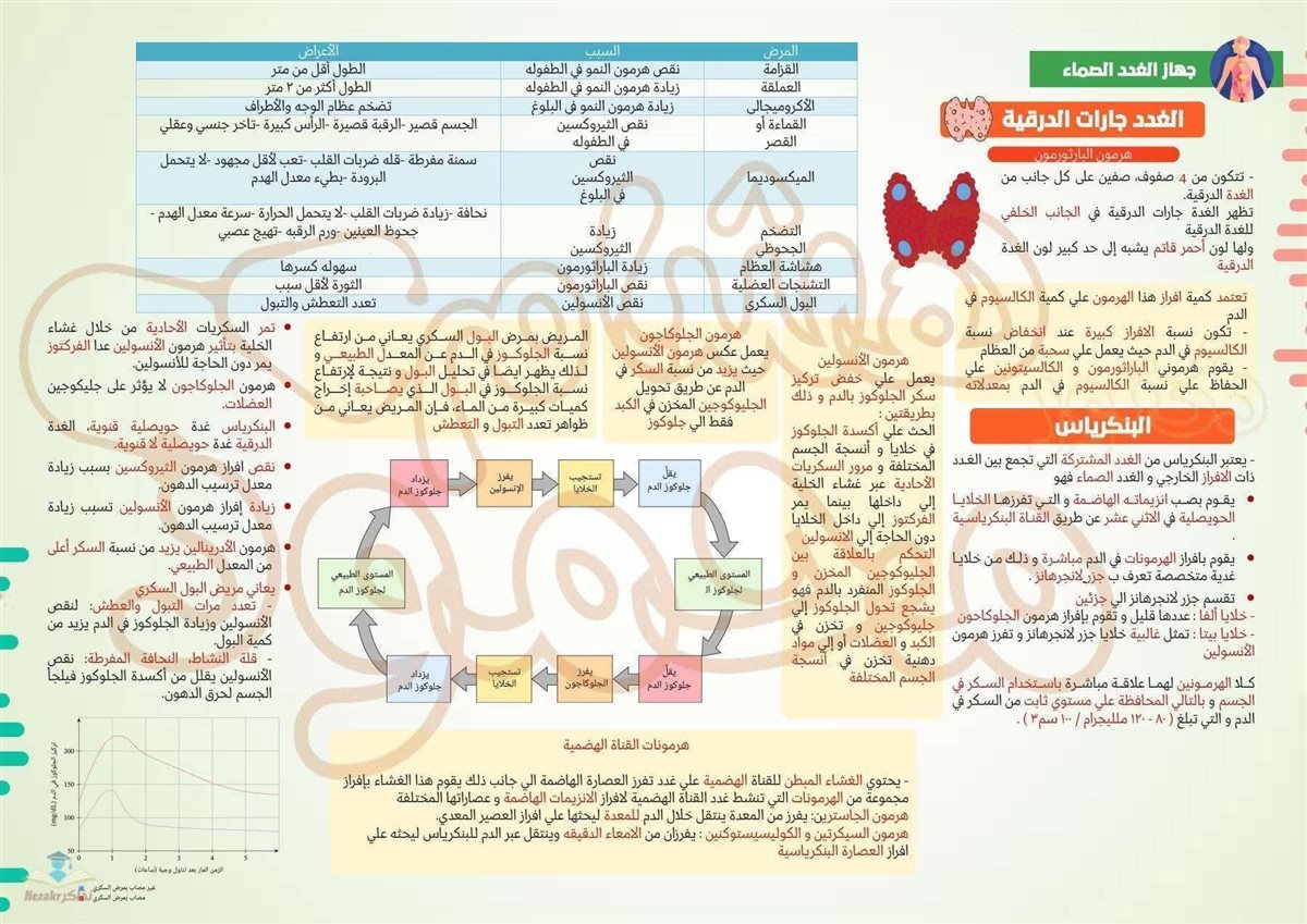 مراجعة الأحياء تالتة ثانوي 2026