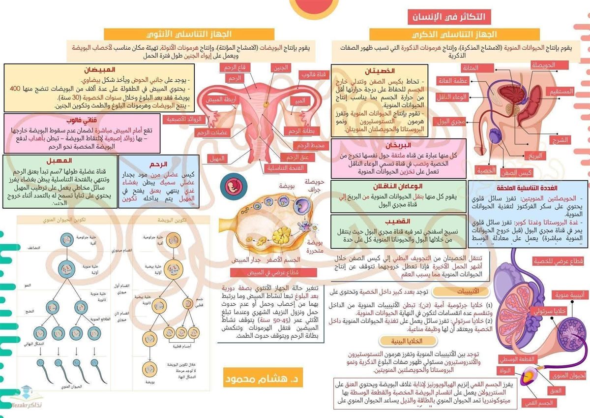 مراجعة الأحياء تالتة ثانوي 2026