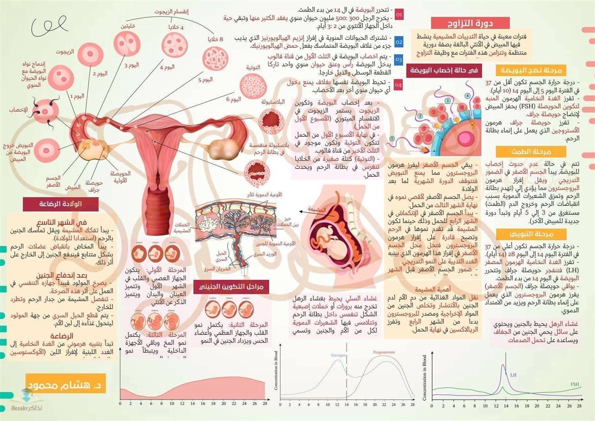 مراجعة الأحياء تالتة ثانوي 2026