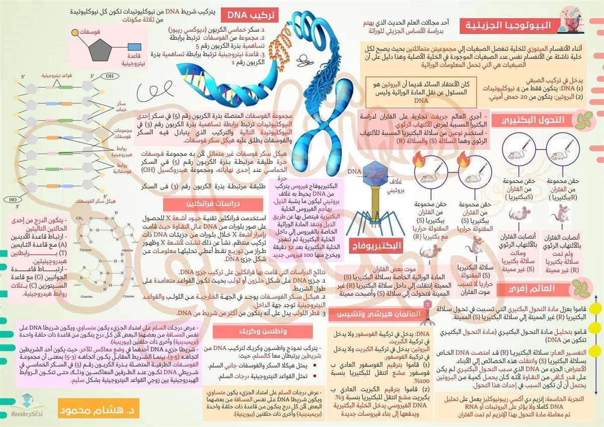 مراجعة الأحياء تالتة ثانوي 2026