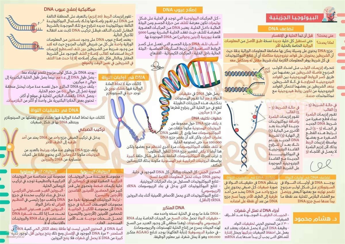 مراجعة الأحياء تالتة ثانوي 2026