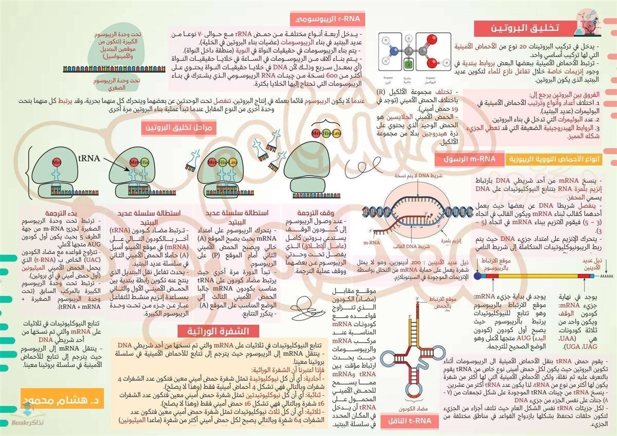 مراجعة الأحياء تالتة ثانوي 2026