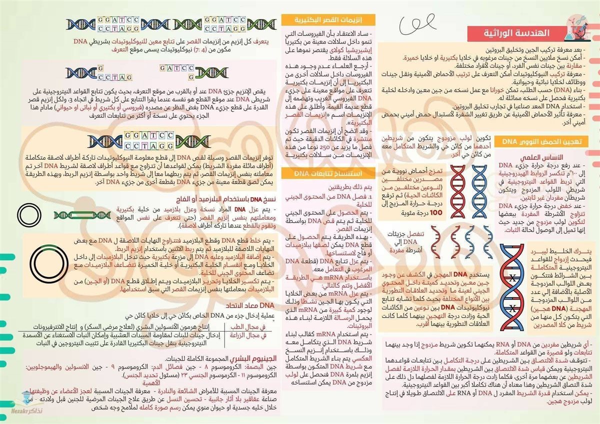 مراجعة الأحياء تالتة ثانوي 2026