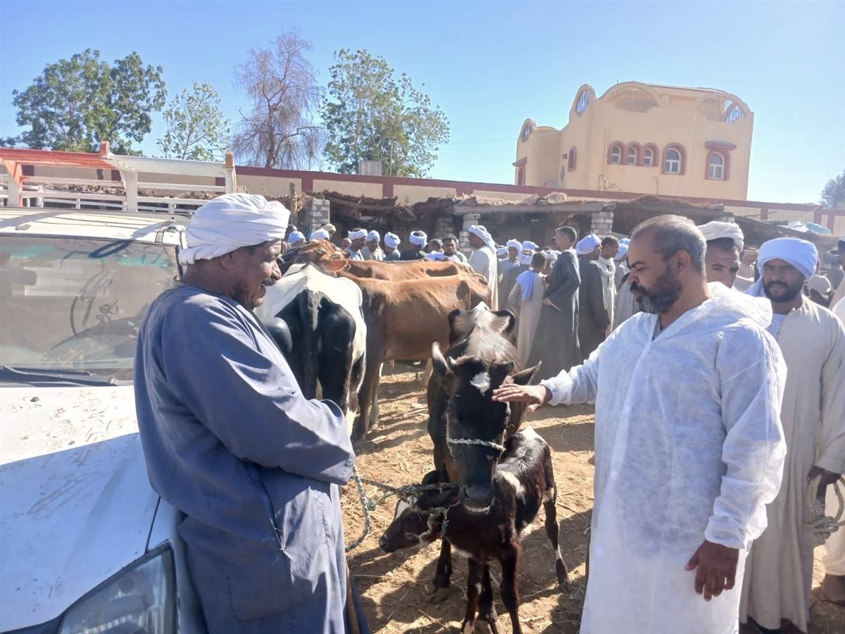 حملات للطب البيطري بالأقصر
