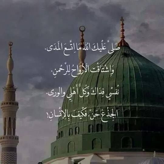 بوستات المولد النبوي الشريف