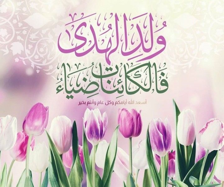 أجمل صور للمولد النبوي الشريف 2026
