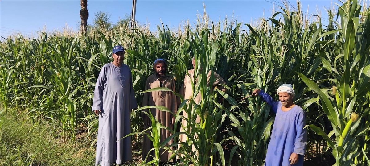 جولة الزراعة