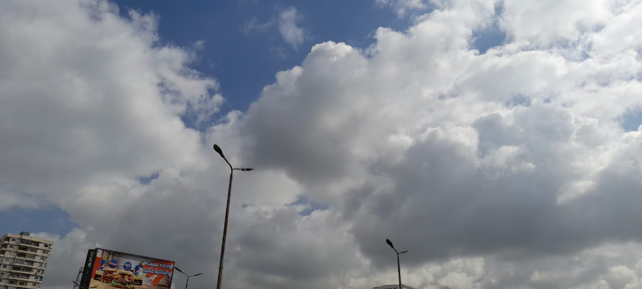 8a0127cb-f844-4863-8a02-76b12524c6ec