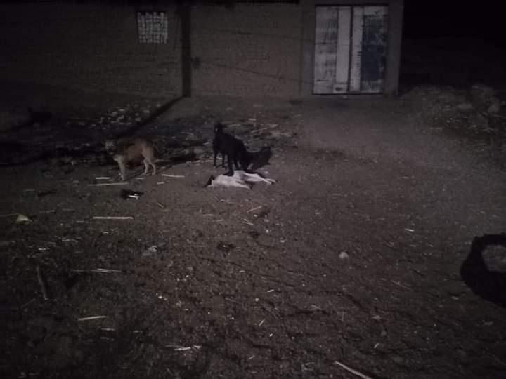 92dd5ef4-df8c-41f2-8973-bcd0be5a3a21