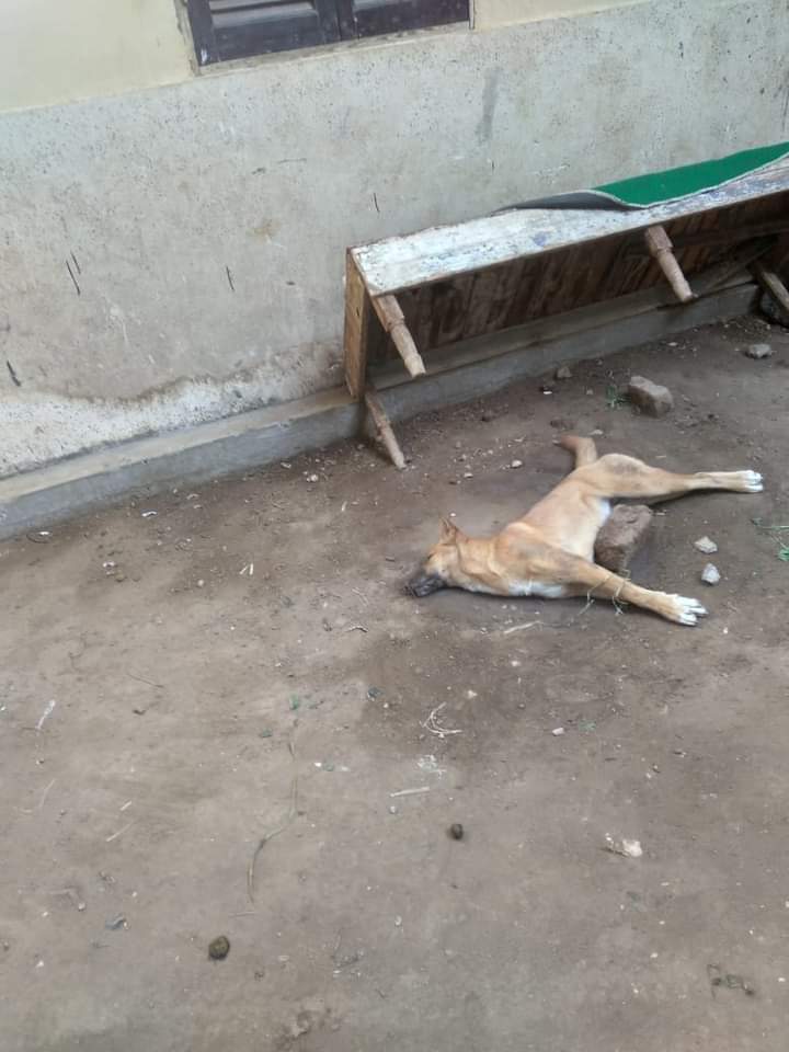 8225bf99-c86d-48d9-b1e3-aea2297703eb