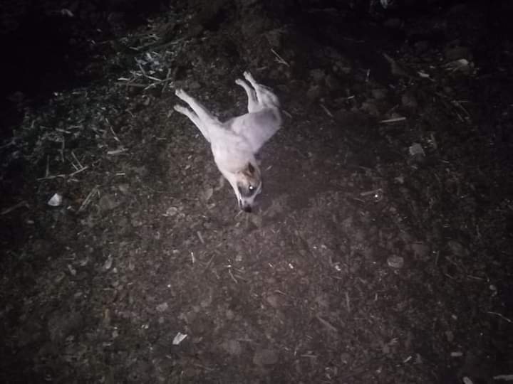 f329408d-39a3-4c6c-9945-6eab0695abd1