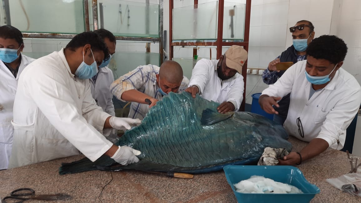 4deaed70-98e6-4d13-8f19-aff94f7b92b1