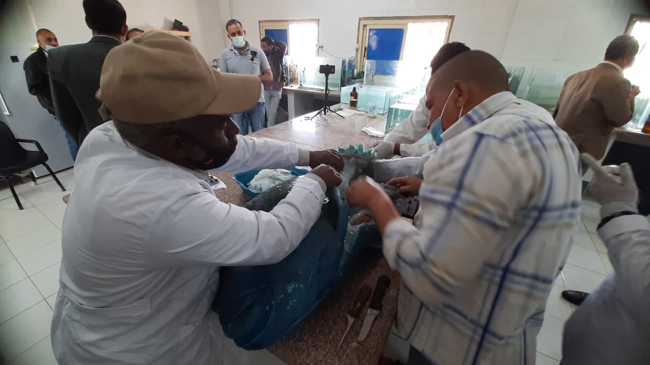 84b6e51a-20cb-427d-a972-1bee57f4a795