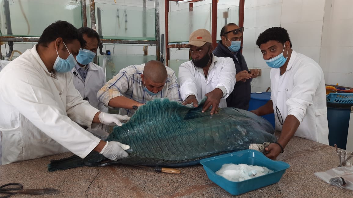 90bff2c1-75c0-41f6-88f0-cd1df7d22fdf