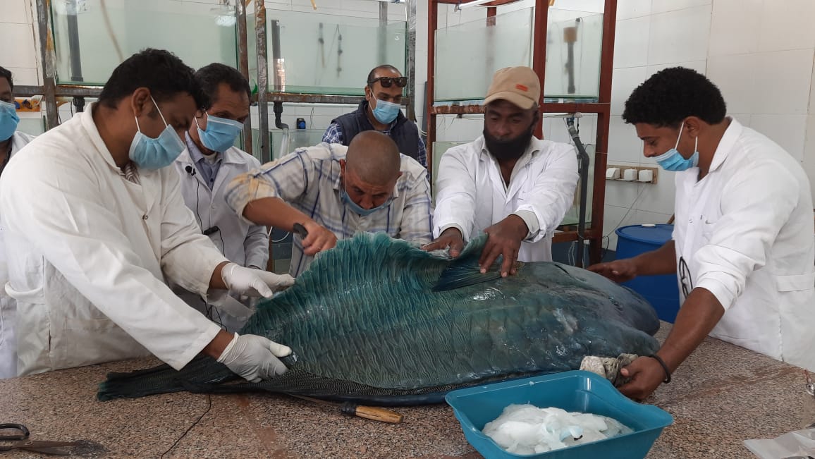 62199724-d710-40b0-b407-e2ab64f27fa7