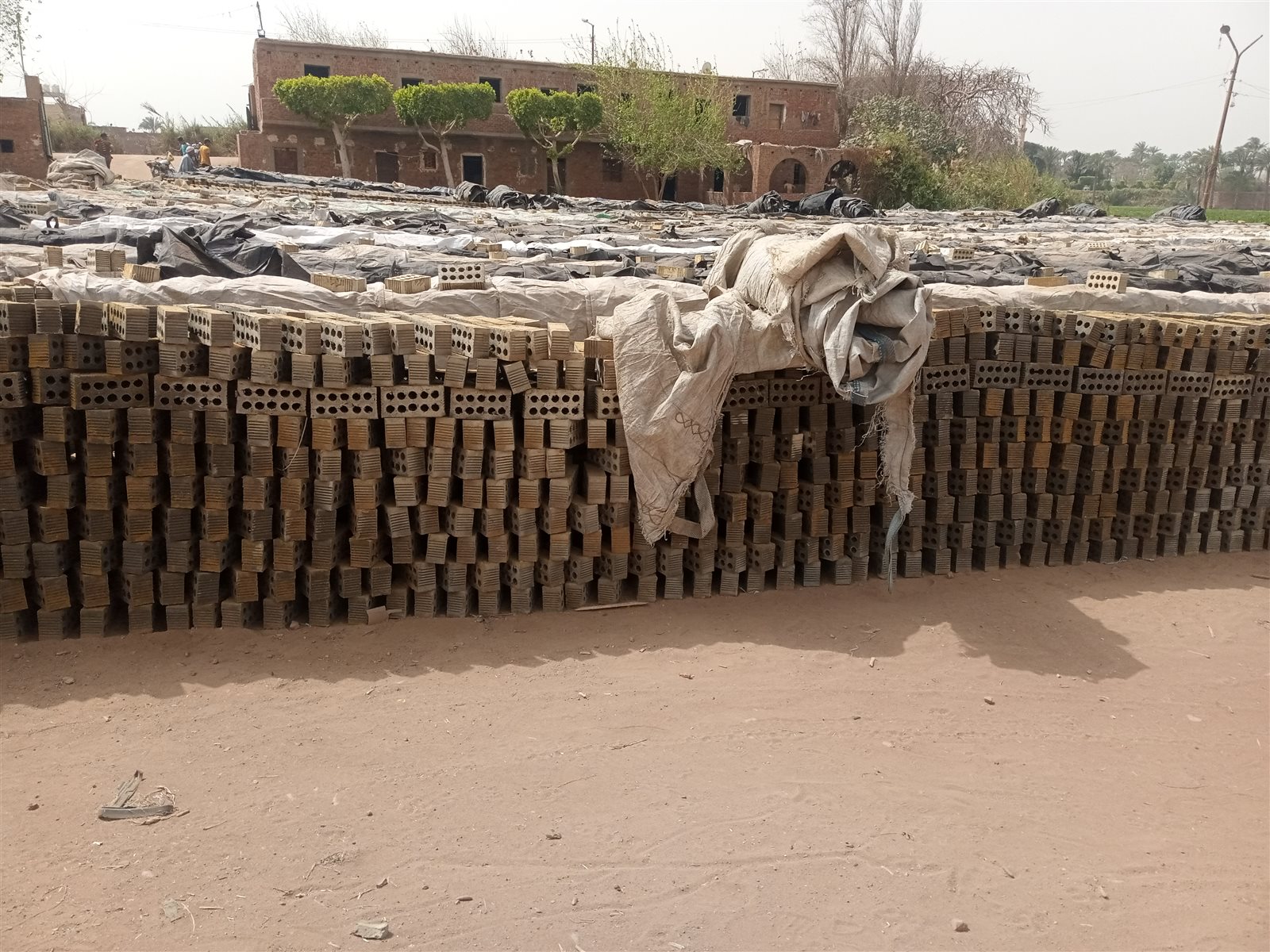 IMG_20210315_125739_355