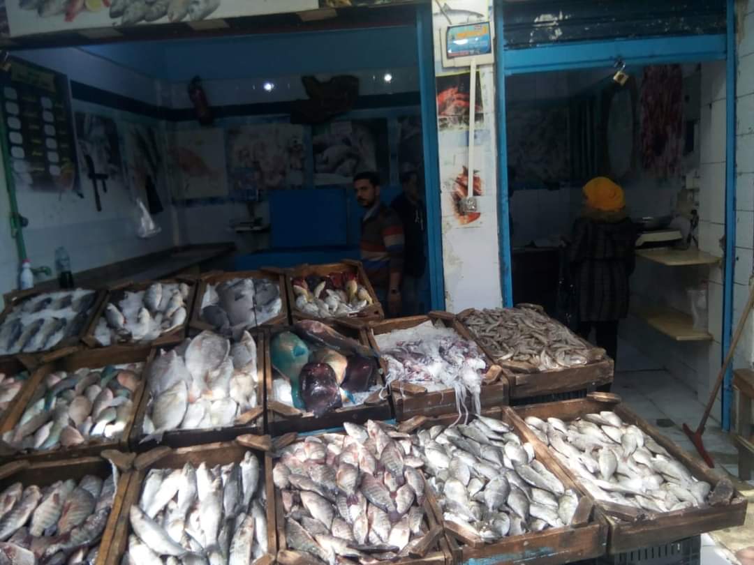 60f91413-24a0-4d9a-9dbf-f91a55d76671