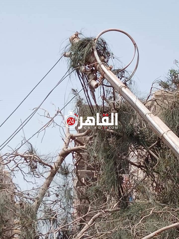 FB_IMG_1616492765801