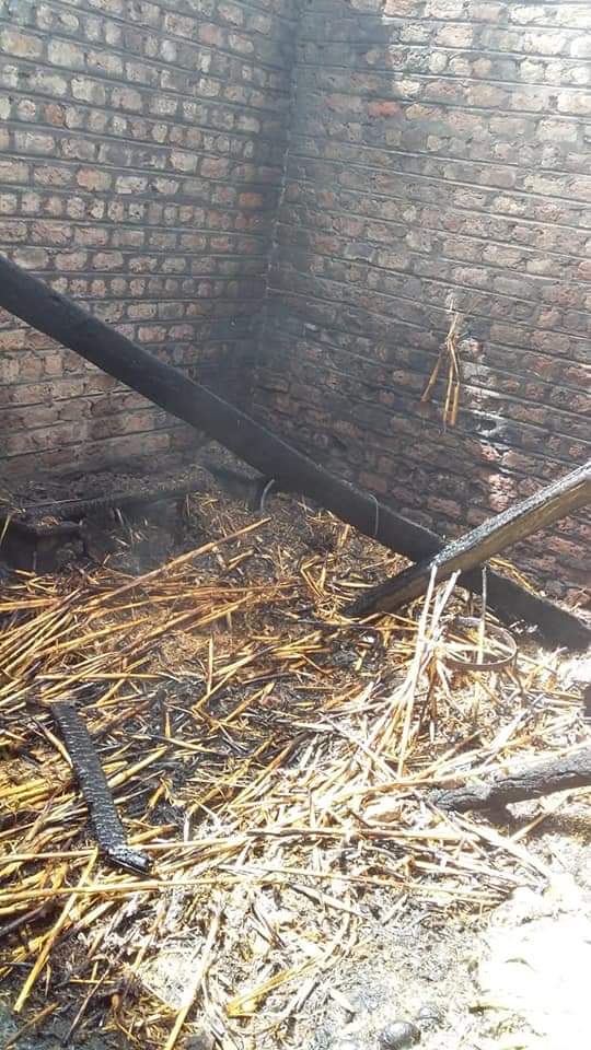 FB_IMG_1616586326423