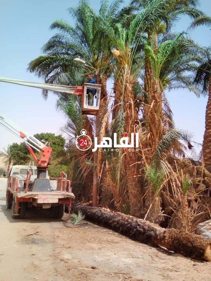 FB_IMG_1616599295291