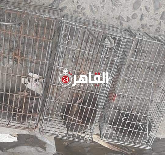 ٢٠٢١٠٣٢٥_١٥٠٩٠٧