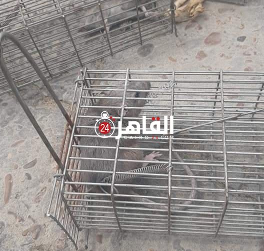 ٢٠٢١٠٣٢٥_١٥٠٩١٧