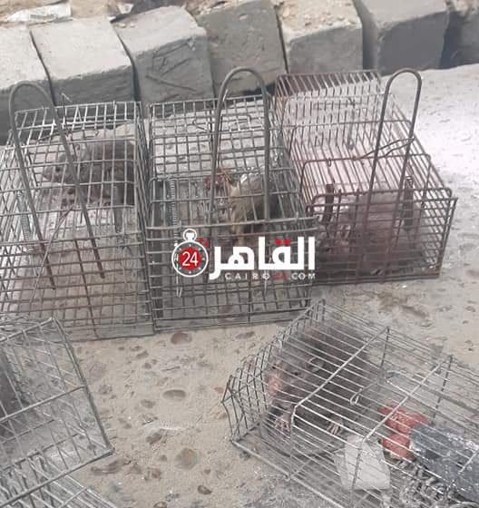 ٢٠٢١٠٣٢٥_١٥٠٩٢٦