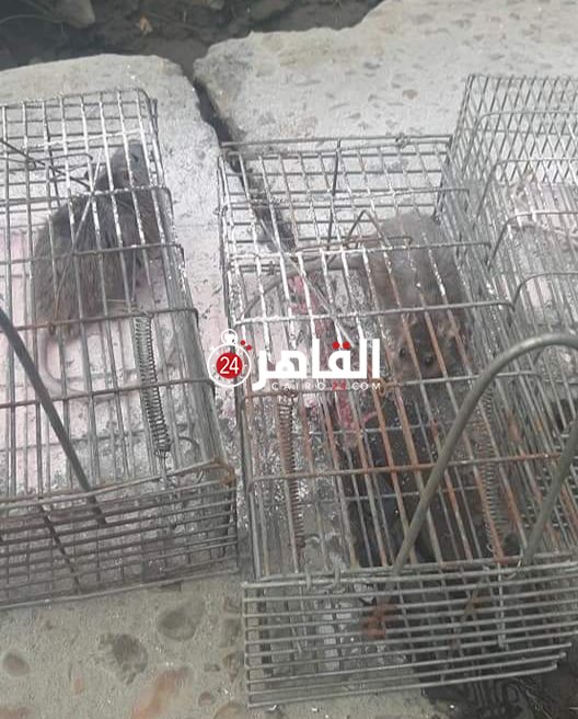 ٢٠٢١٠٣٢٥_١٥٠٩٣٥