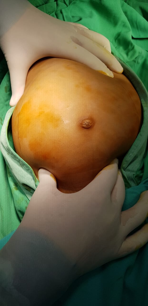 2a80f5e3-0752-4604-ab23-56c6925d0ca2