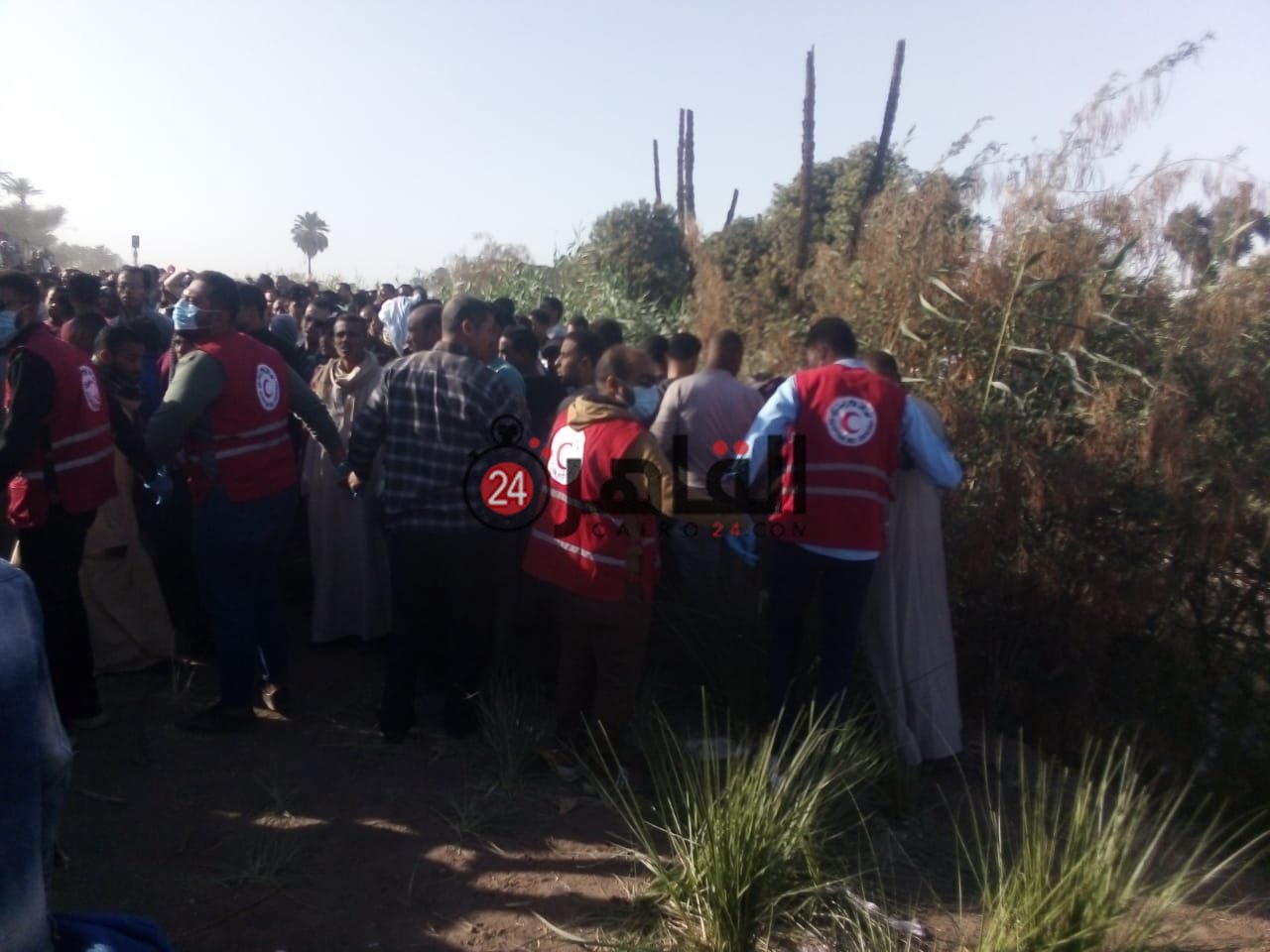 8dee7452-1c14-4b03-adea-615d2ba16b97