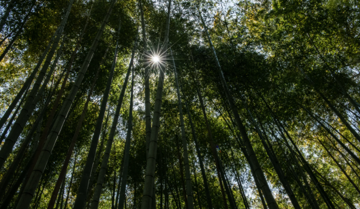 Screenshot 2021-03-27 165913