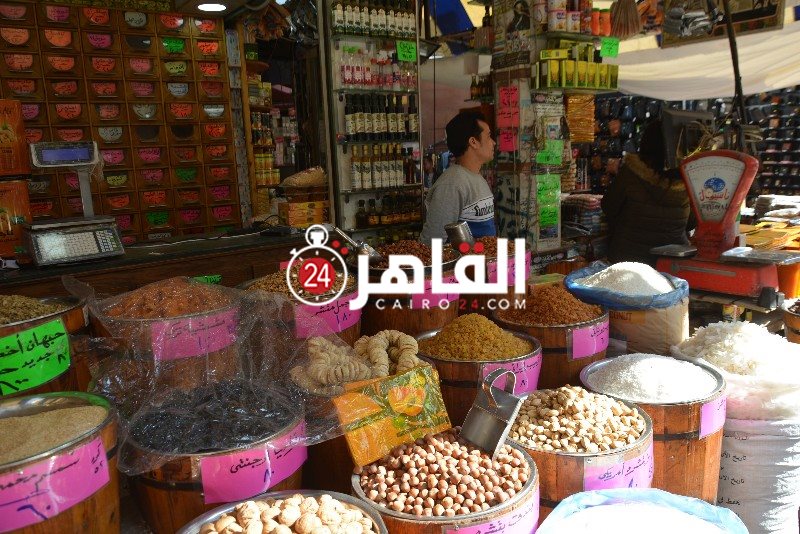 DSC_0151_copy_800x534