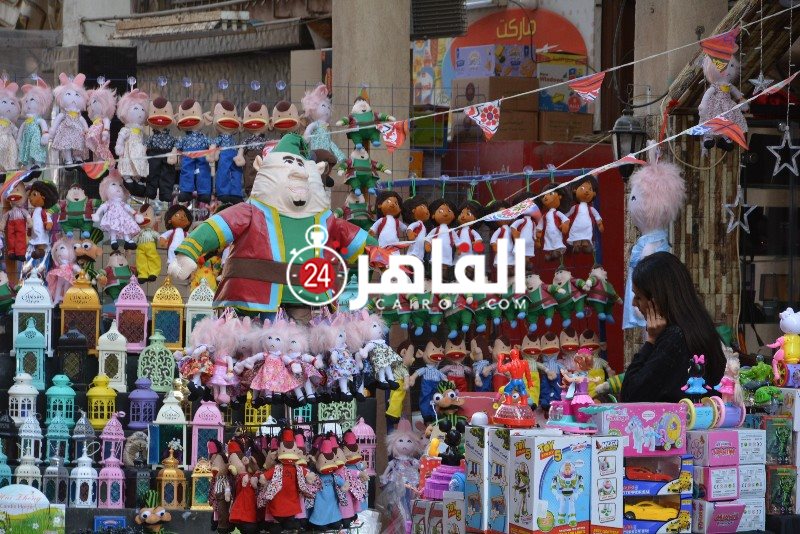 DSC_0170_copy_800x534_1