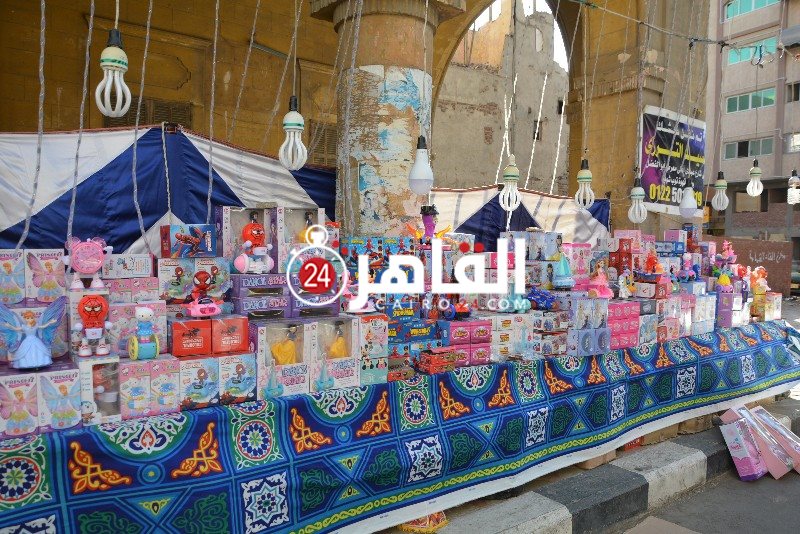 DSC_0173_copy_800x534