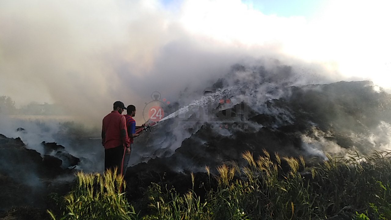 IMG_20210330_172139_1