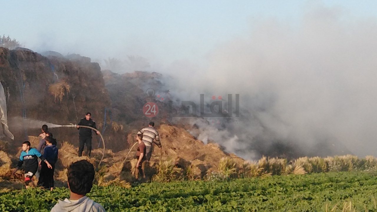 IMG_20210330_172904_1