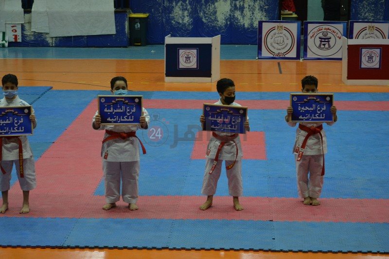 DSC_0201_copy_800x534