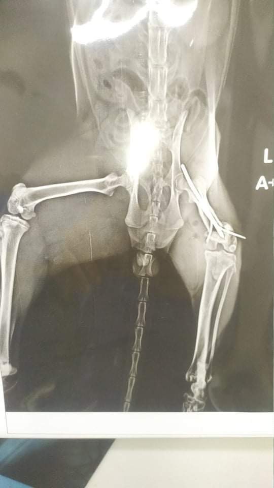 AFB48AD4-4FEC-409B-B87A-49500E7672D1