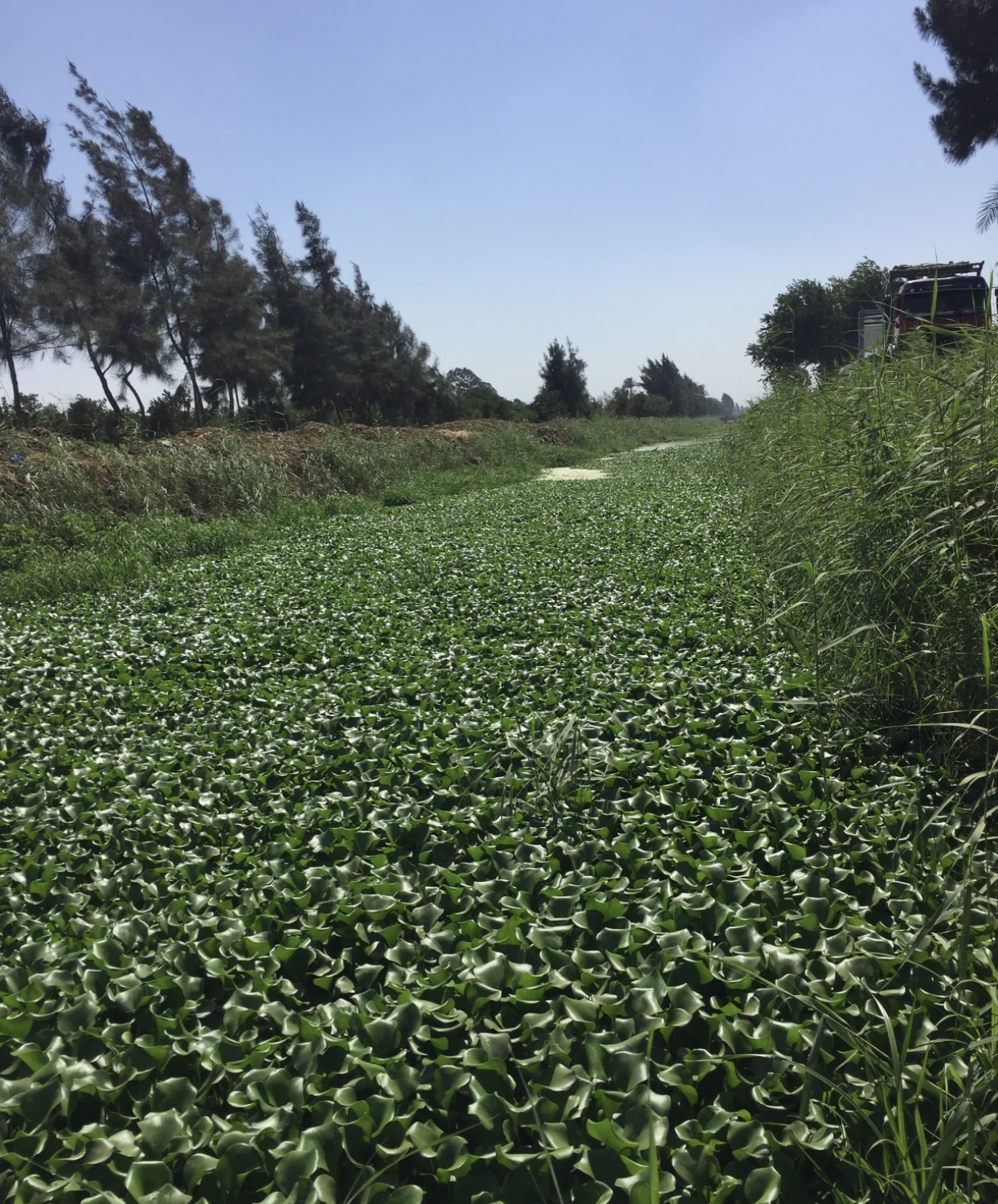 C21E46AC-F72A-4A5C-B92F-7B166FFAA0AB